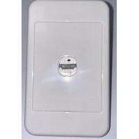 Wall plate with HDMI insert