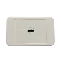 Horizontal Wall plate with HDMI insert